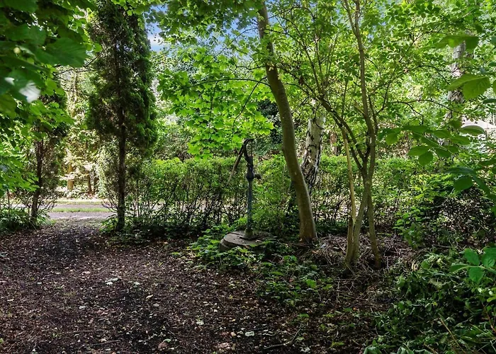 Vakantiehuis 3032-stege-ankeret-4 *